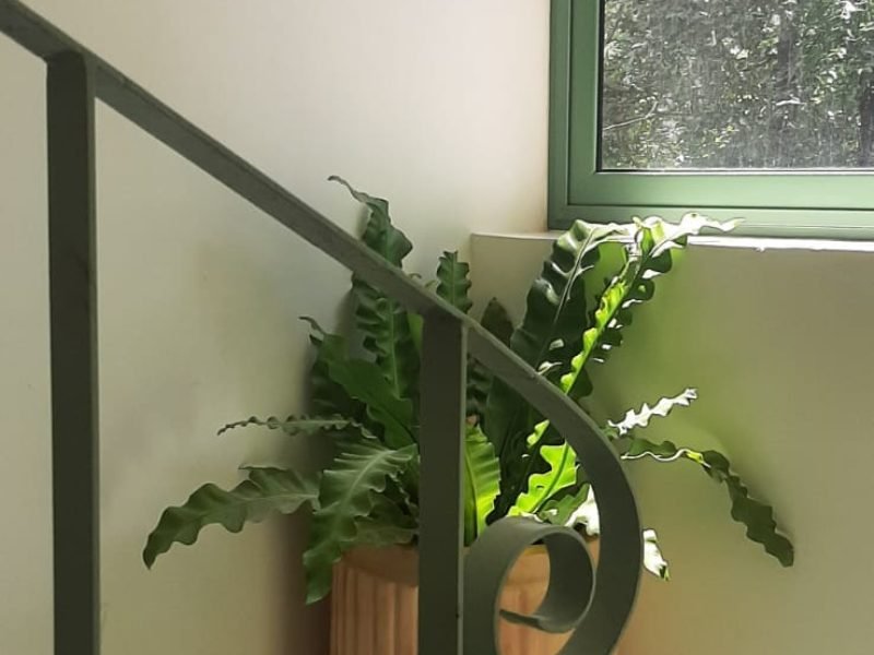 WhatsApp-Image-2024-12-10-at-7.11.20-PM-1